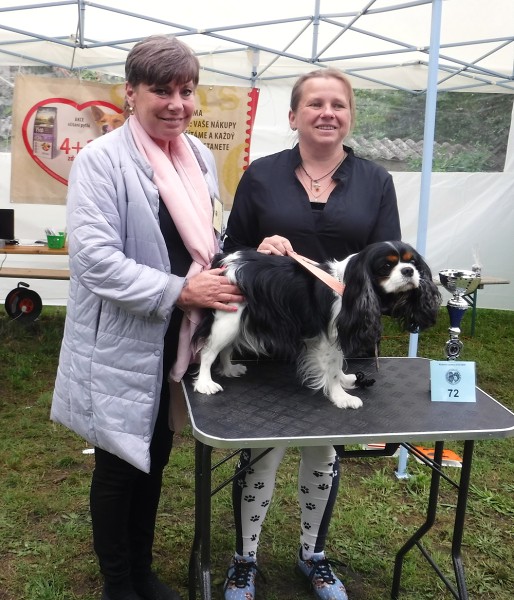 KV 2020-I, 11.7.2020, Městec Králové